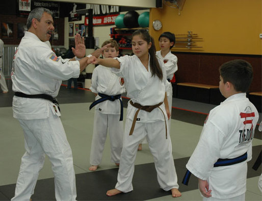 Family Martial Arts Classes at The Dojo